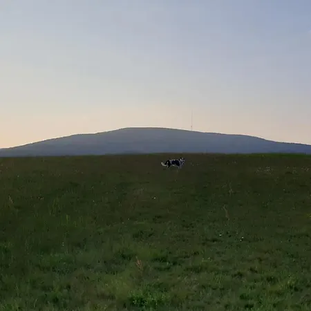 Διαμέρισμα Kaline *