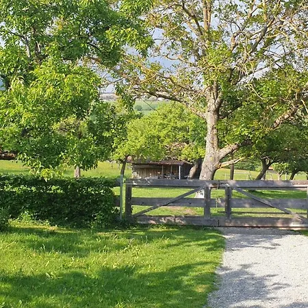 Apartamento Kaline *