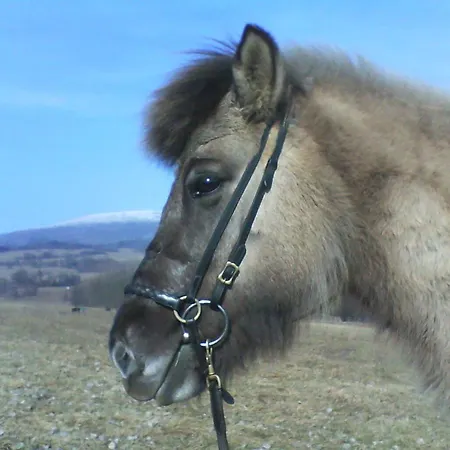 Διαμέρισμα Kaline