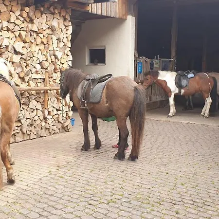 Kaline Apartamento *