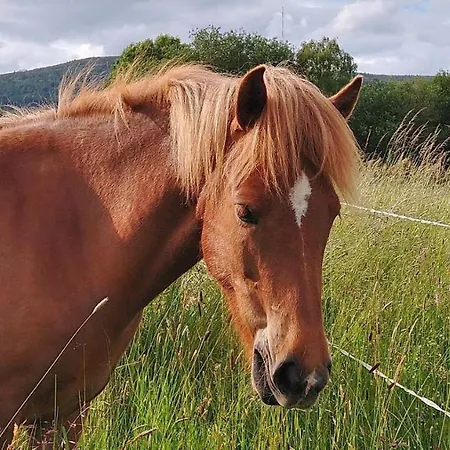 Kaline Διαμέρισμα