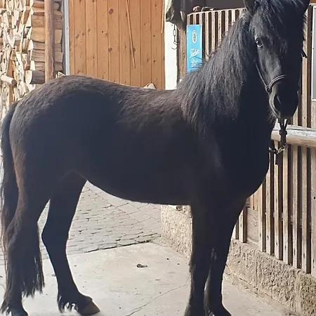 Kaline Apartamento *