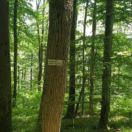 Kaline Apartamento Sandberg