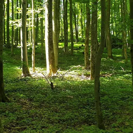 Kaline Apartamento Sandberg