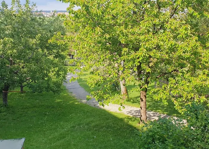 Kaline Daire Sandberg