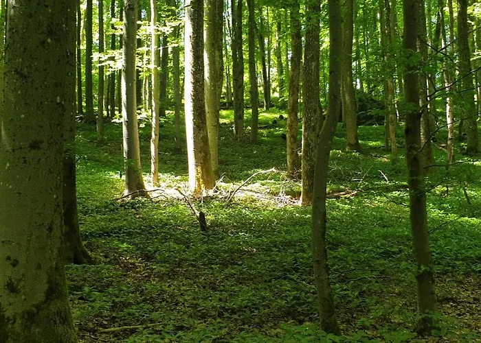 Kaline Daire Sandberg